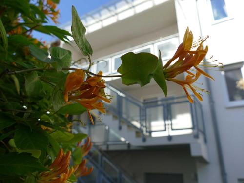 un ramo de flores delante de un edificio en FW "Am Seeufer 1" Objekt ID 12052-2 en Waren