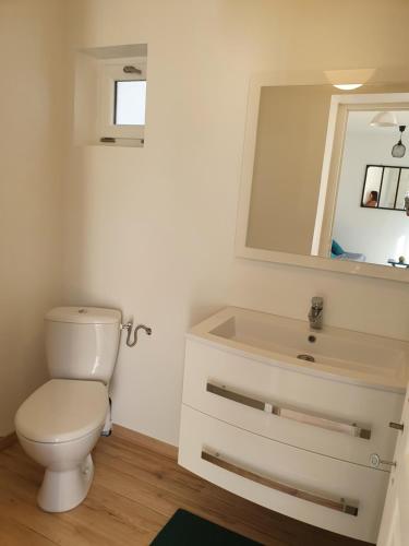 La salle de bains est pourvue de toilettes et d'un lavabo avec miroir. dans l'établissement Studio coccoon proche beauval, à Contres