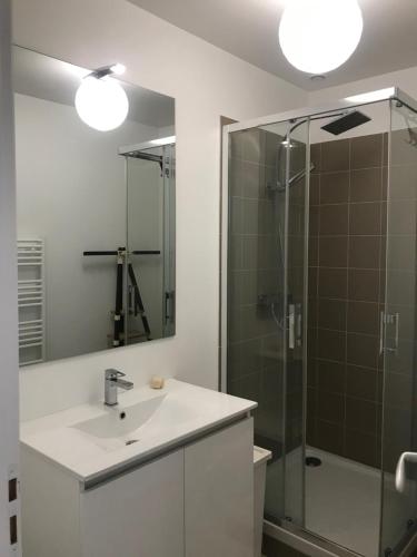 Kúpeľňa v ubytovaní Cannes 2 pieces de 49 m2 ,piscine. Jardin privatif