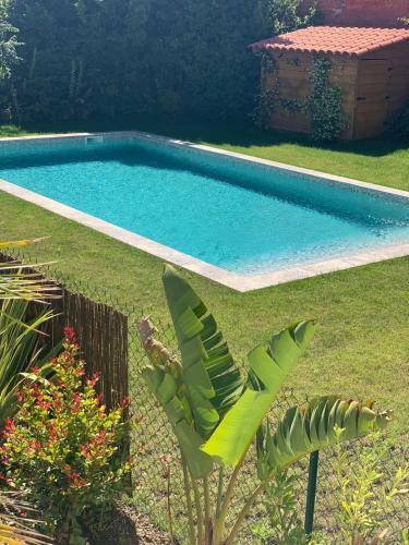 - une piscine dans une cour avec une usine dans l'établissement Cannes 2 pieces de 49 m2 ,piscine. Jardin privatif, à Cannes