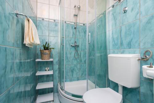 a bathroom with a toilet and a shower at Apartment Andjelko G in Šilo