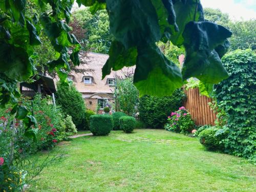 a garden with a house in the background at Kreatives Wohnen unter Reet ruhig und doch zentral in Schwabstedt