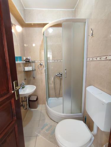 a bathroom with a shower and a toilet and a sink at Studio Apartman Radimir in Kotor