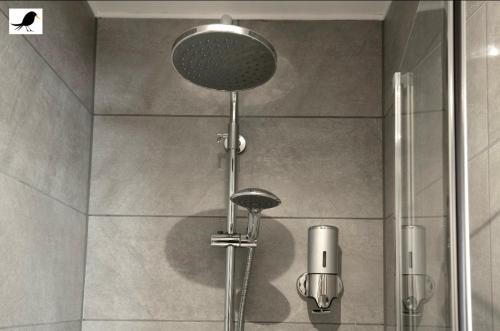 a shower with a shower head in a bathroom at Blackbird Accommodation and Luxury Apartments room 15 in Blackpool