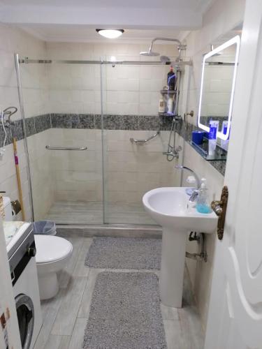 a bathroom with a shower and a sink and a toilet at Serenity Garden Oasis near Maadi Grand Mall & CAC in Cairo