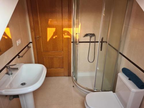 a bathroom with a shower and a sink and a toilet at Apartamentos Gallaecia in Val do Dubra