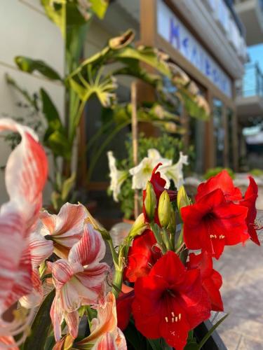 a bunch of red and white flowers in a vase at Ξενοδοχείο Μελίβοια-Hotel Melivoia in Khóra