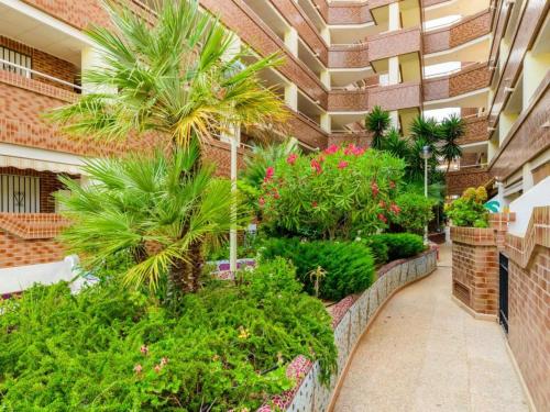 un jardin dans un bâtiment avec des palmiers et des plantes dans l'établissement COSTA MARFIL II - Marina Dor, à Oropesa del Mar