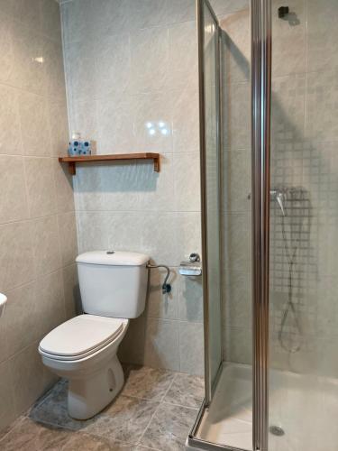 a bathroom with a toilet and a glass shower at Apartamentos Trevias in Trevías