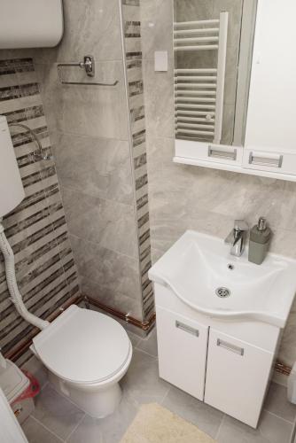 a bathroom with a toilet and a sink and a shower at ĐILL Apartment in Subotica