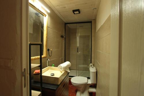 ein Bad mit einem WC, einem Waschbecken und einer Dusche in der Unterkunft Studio la maison bleue in Cotignac