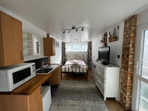 a small kitchen with a sink and a microwave at The Caduceus Quality Budget Cabins in Chertsey
