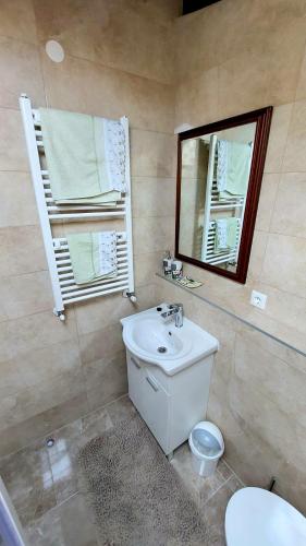 a bathroom with a sink and a toilet and a mirror at Apartments Karmen Funtana in Funtana