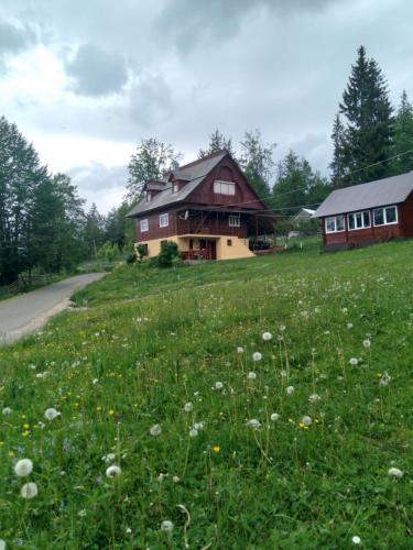 a house on a hill with a field of grass at Casa din Poiană in Hănăşeşti