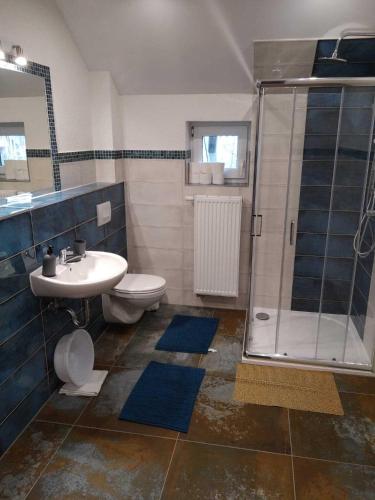 a bathroom with a toilet and a sink and a shower at Willawil in Karpacz