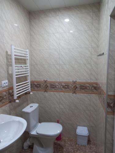 łazienka z toaletą i umywalką w obiekcie Сhachkari w mieście Wardzia