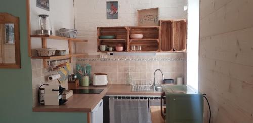 uma cozinha com um lavatório e uma bancada em Studio cosy au coeur de Saint Martin Vésubie em Saint-Martin-Vésubie