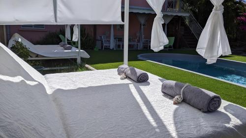 two stuffed animals on a mattress next to a pool at Villa Rosa Karibella in Saint-François