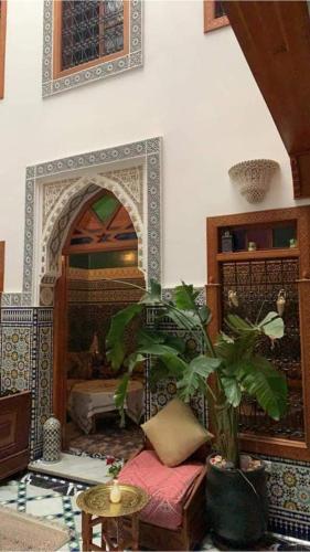 a living room with a couch and a plant at Riad Scalia Traditional Guesthouse Fes Morocco in Fès