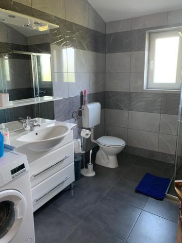 een badkamer met een wastafel, een toilet en een spiegel bij Pula Apartment E&E in Loborika