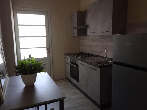 a kitchen with a stove and a table with a plant at Agriturismo Il Principino in Vinci