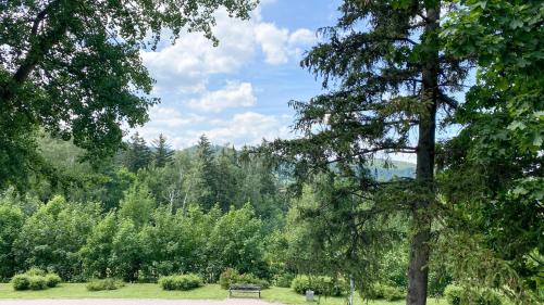 Příroda nedaleko penzionu