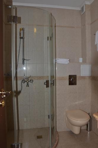 Ένα μπάνιο στο Boutique Hotel Boris Palace & Restaurant