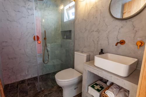 a bathroom with a toilet and a sink and a shower at Varandas de Monsaraz in Monsaraz