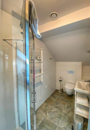 a bathroom with a shower and a toilet at "Dolina" na Żuławach in Nowe Dolno