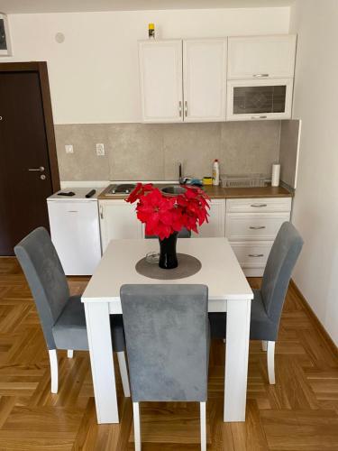 a kitchen with a white table with a vase with red flowers at Apartmani CENTAR Vrnjacka Banja & Free Parking in Vrnjačka Banja
