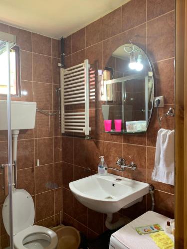 a bathroom with a sink and a toilet and a mirror at Žabljak Getaway Rental in Žabljak