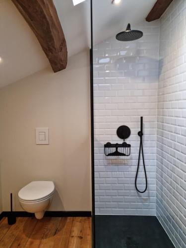 a bathroom with a toilet and a shower at B&B à la campagne in Jayat