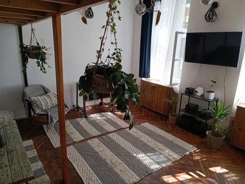 Hipster Paradise 1068 Budapest, 21 Szófia utca kép - 3