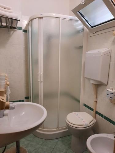 a bathroom with a shower and a toilet and a sink at Hotel Ambra in Cesenatico