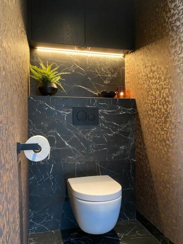 a bathroom with a toilet and a black marble wall at Brabant Suites in Nistelrode