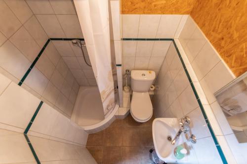 a small bathroom with a toilet and a sink at Pokoje nad Szeszupą Jasionkove DOBRO in Rutka Tartak