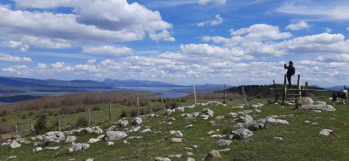La Lobera