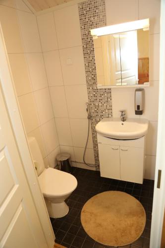 a bathroom with a toilet and a sink and a mirror at Villa Haapaniemi in Iisalmi