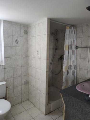 uma casa de banho com um chuveiro e um lavatório. em Appartement T2 Roquebrune sur Argens em Roquebrune-sur-Argens