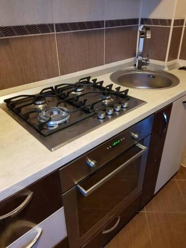 un forno da cucina accanto al lavandino di Happy place :) a Hunedoara