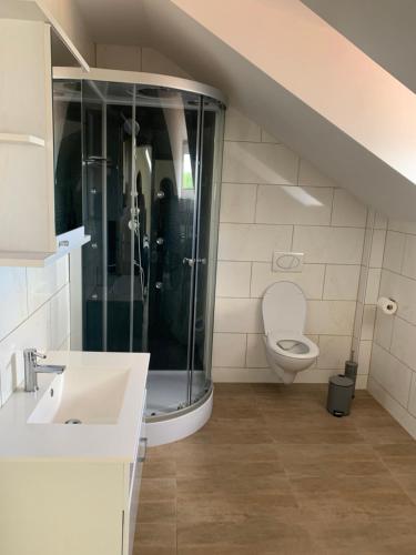 a bathroom with a shower and a toilet at Workers Sleep in Wilhelmshaven