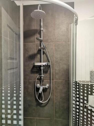 a shower with a shower head in a bathroom at Step88 in Balatonlelle