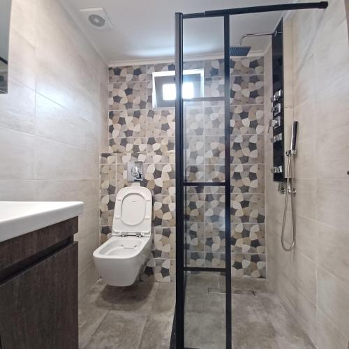 a bathroom with a toilet and a sink and a shower at Ponti Bay Apartments in Vasiliki