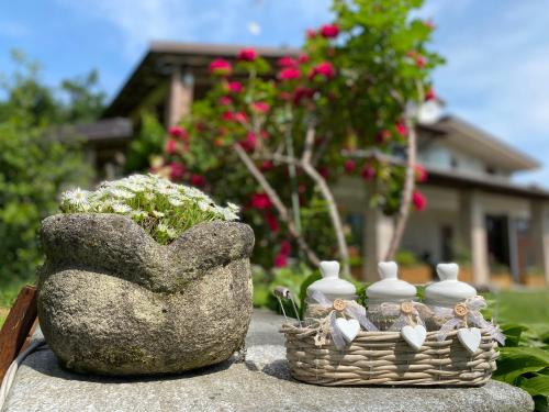 a basket of vases and a basket of flowers at Villa Giulia - Bisalta in Peveragno