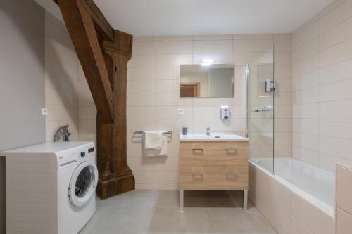 a bathroom with a washing machine and a sink at LE RHENANUS Ludwig Dringenberg - appartement au calme - centre ville - parking gratuit in Sélestat