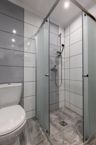 a bathroom with a toilet and a shower at Domek Rodzinny na Roztoczu in Nowiny