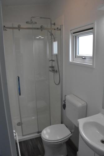 een badkamer met een douche, een toilet en een wastafel bij Chalet ‘Het Giethoornsche Meer’ (16) in Giethoorn