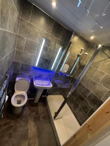La salle de bains est pourvue de toilettes, d'un lavabo et d'une douche. dans l'établissement The Village Inn, à Carstairs