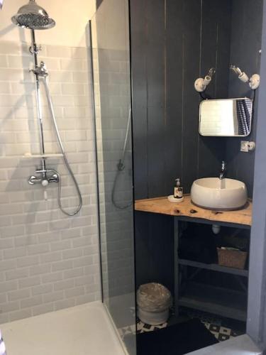 une salle de bain avec douche et lavabo dans l'établissement Adorable petite maison sur Loire à vélo, à Villandry