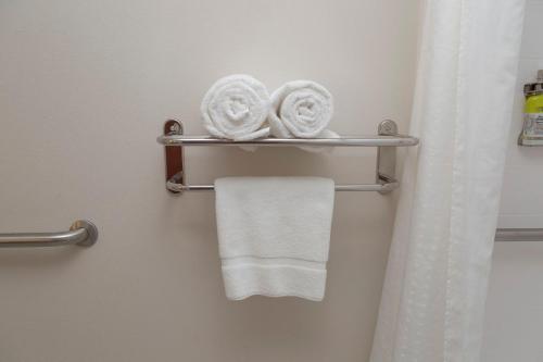 een badkamer met handdoeken op een handdoekenrek bij Holiday Inn Express Clayton Southeast Raleigh, an IHG Hotel in Garner